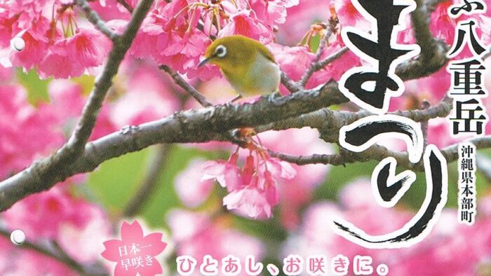 第37回もとぶ八重岳桜まつり